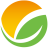 Logo Summit Agro International Ltd.