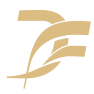 Logo DynaFin Consulting SA