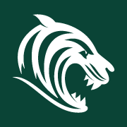 Logo Tigers Developments Ltd.